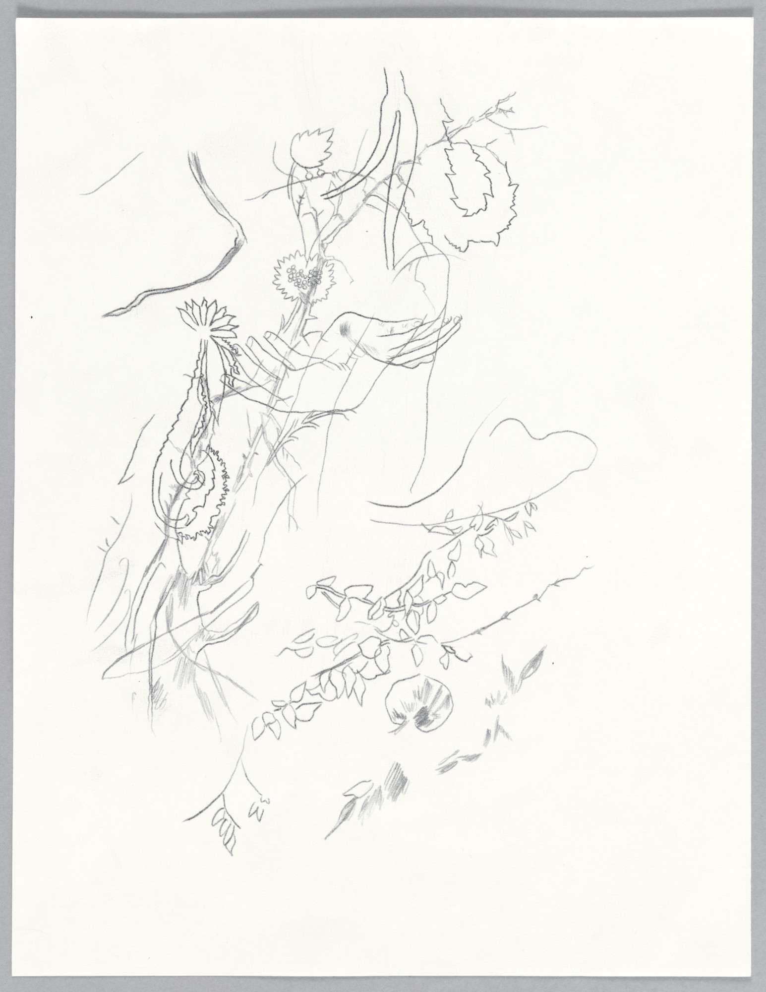 Nick Mauss. Thicket