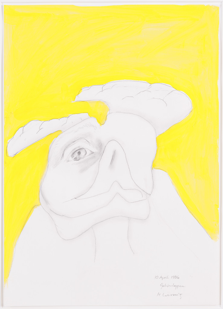 Gehirnlappen (Brain Lobe)