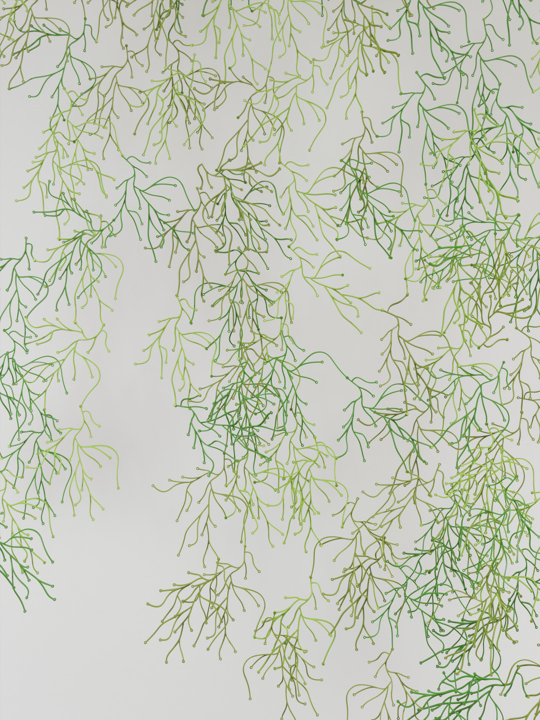 Ronan Bouroullec, Erwan Bouroullec. Algues (Algae) Screen. 2004