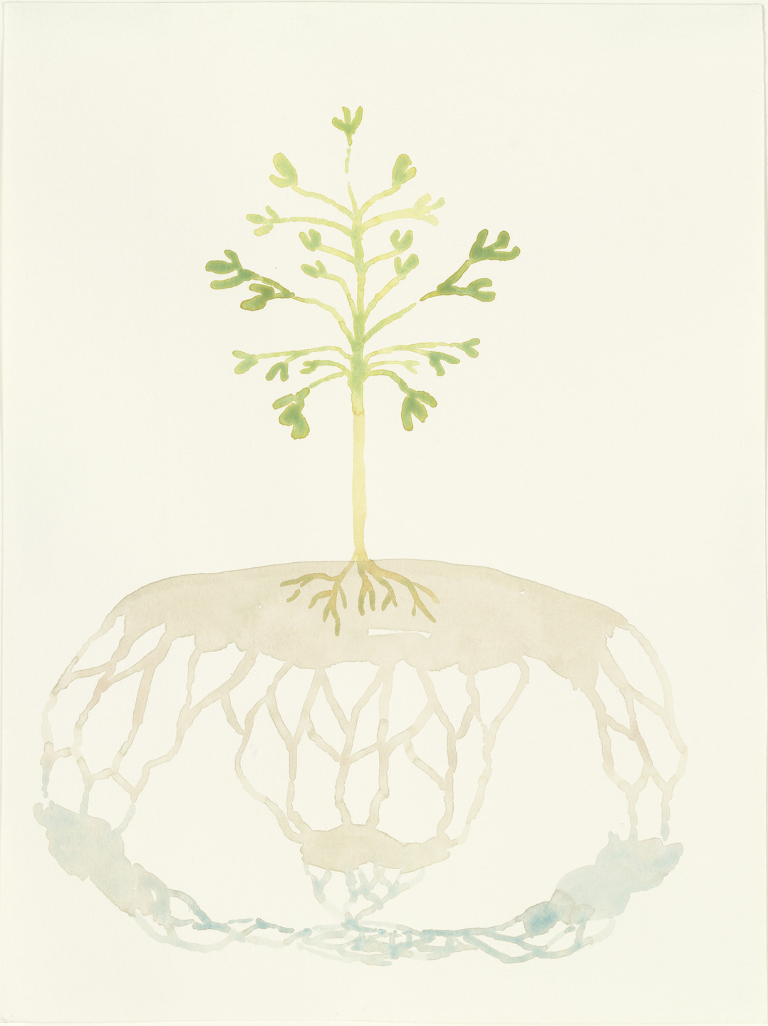 Jeff Davis. Untitled (#12). (2002)