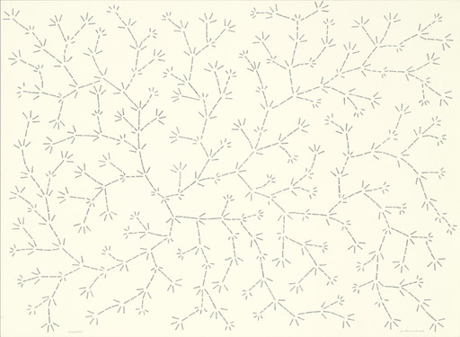 Organograma