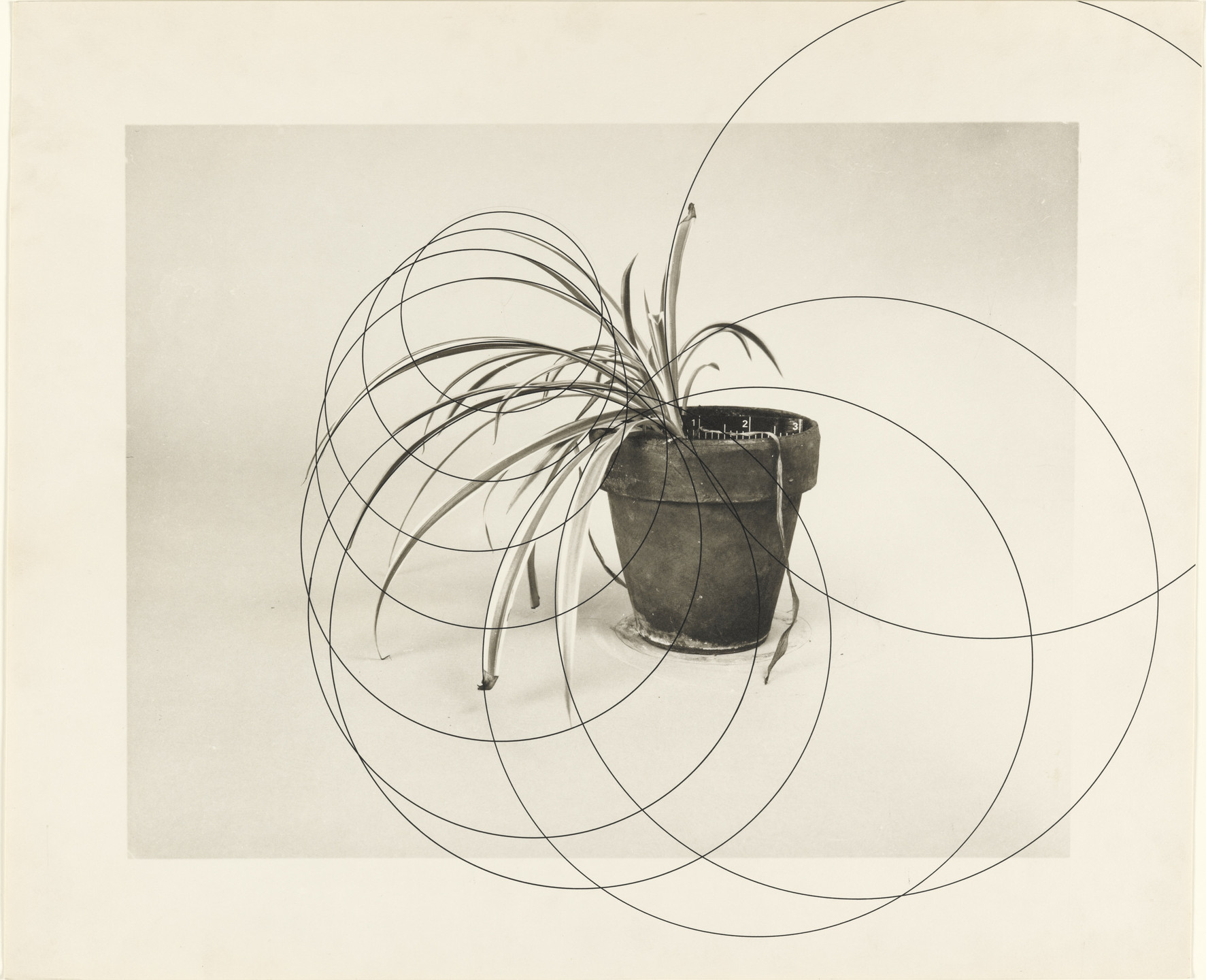 Gerald Hayes. Drawing. (1973-74)