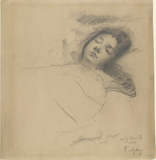 The Artist's Wife Asleep