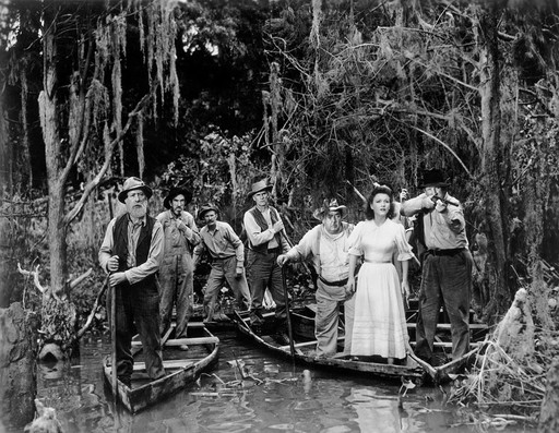 Jean Renoir. Swamp Water