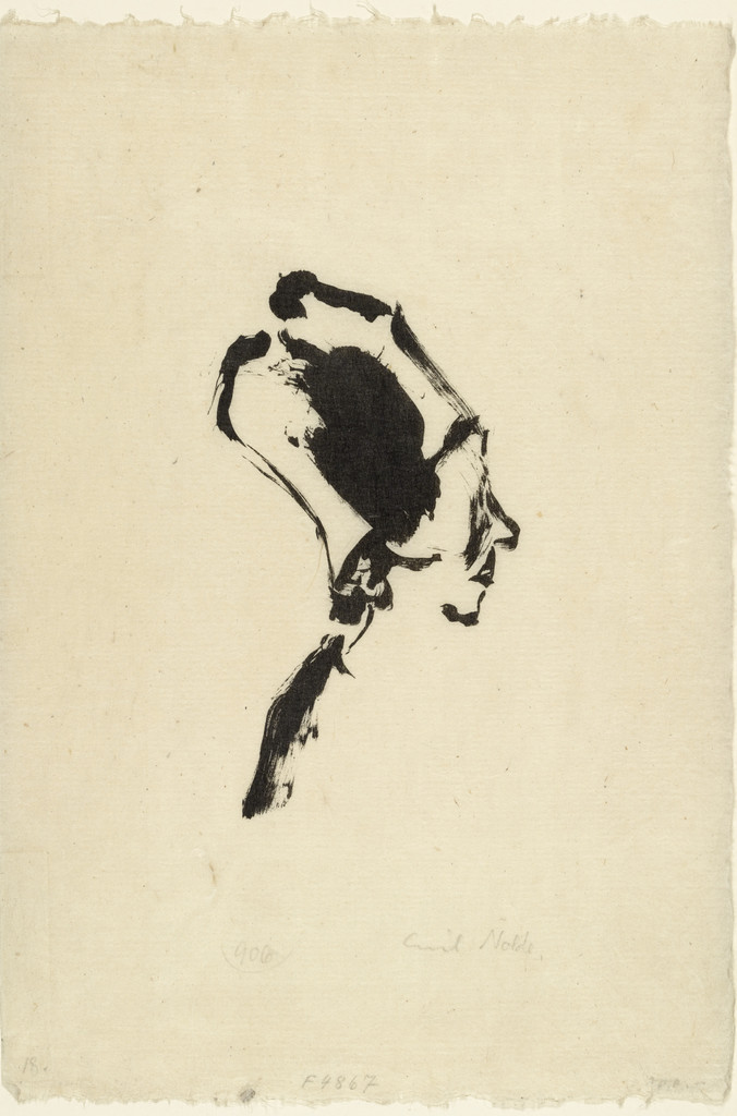 Profile III (Profil III), Emil Nolde, (1911)