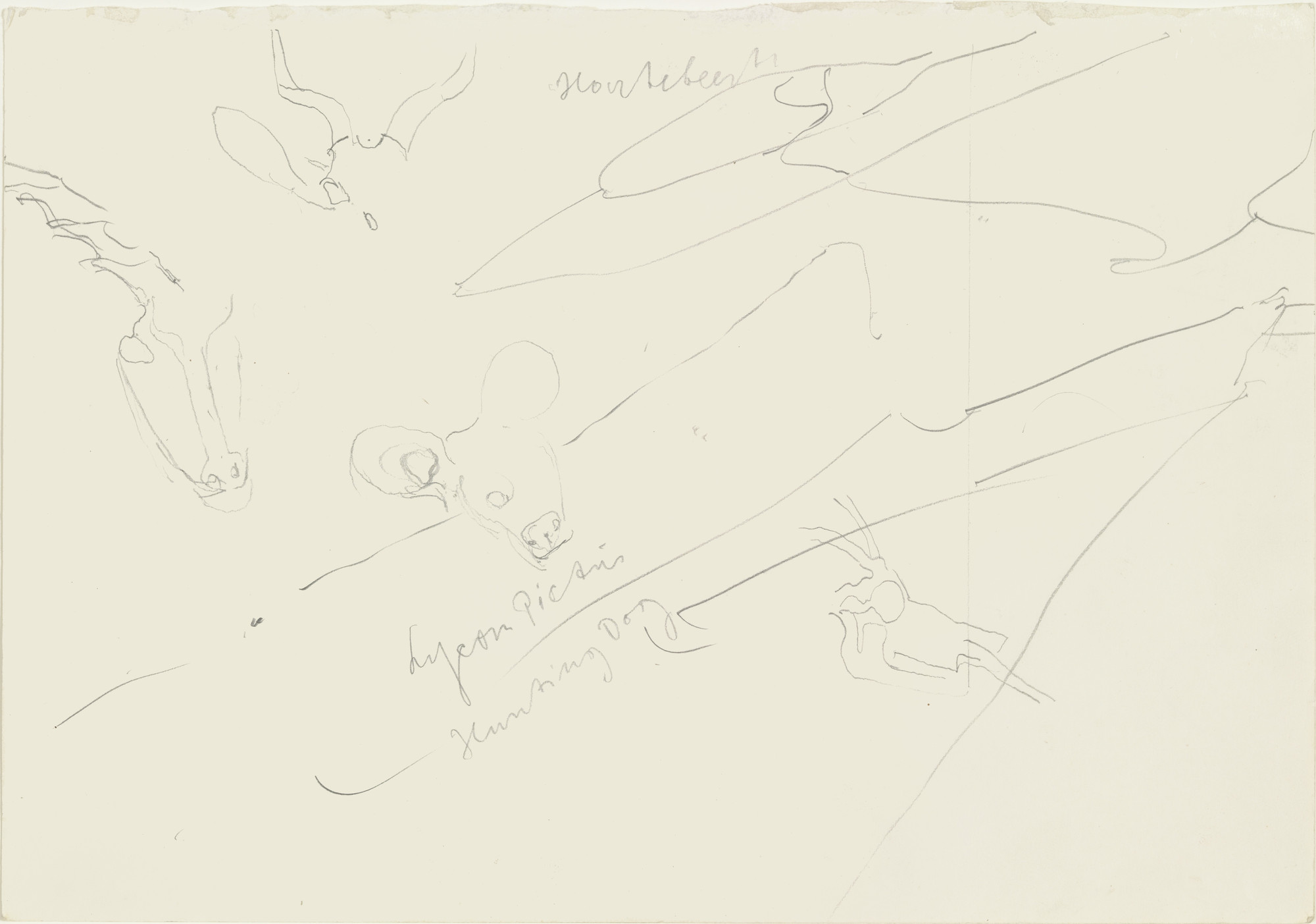 Joseph Beuys. Lycon Pictus Hunting Day