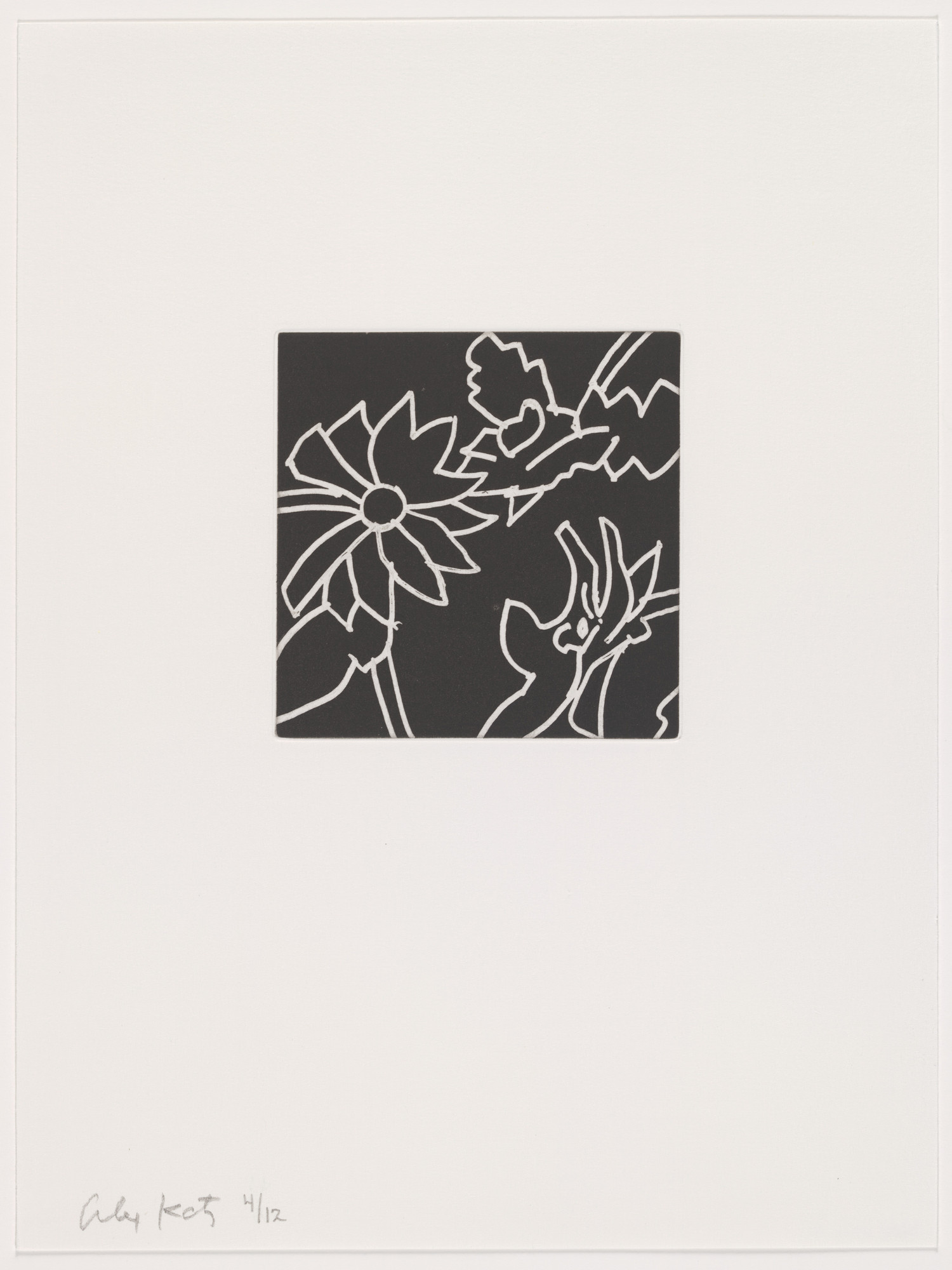 Alex Katz. Duplicate of plate (page 22) from Gloria