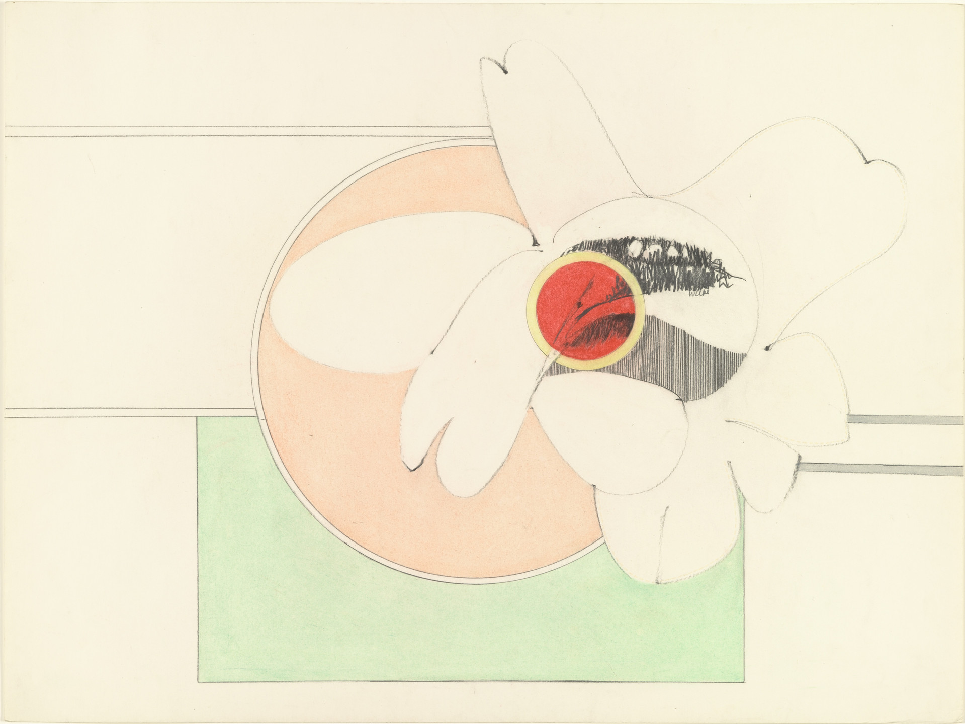 Hannah Wilke. Untitled. 1969