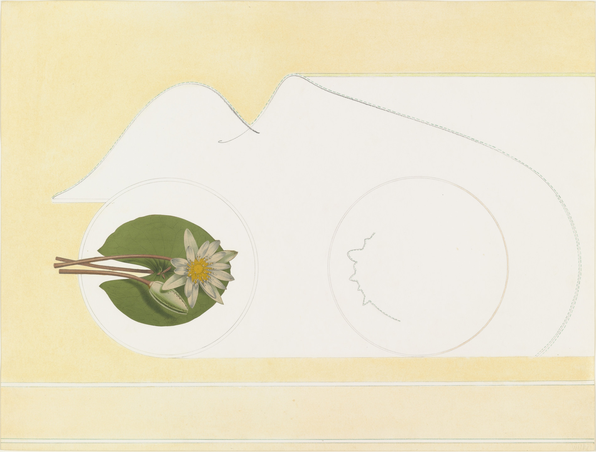 Hannah Wilke. Water Lily. 1969