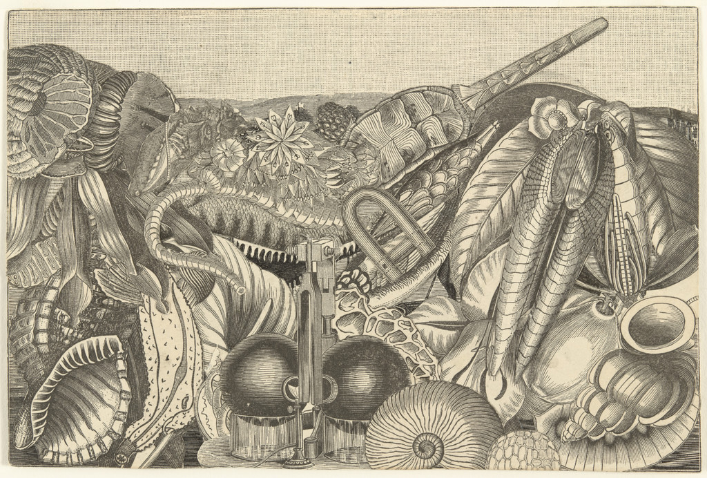 UNTITLED (LANDSCAPE), Bruce Conner, 1964