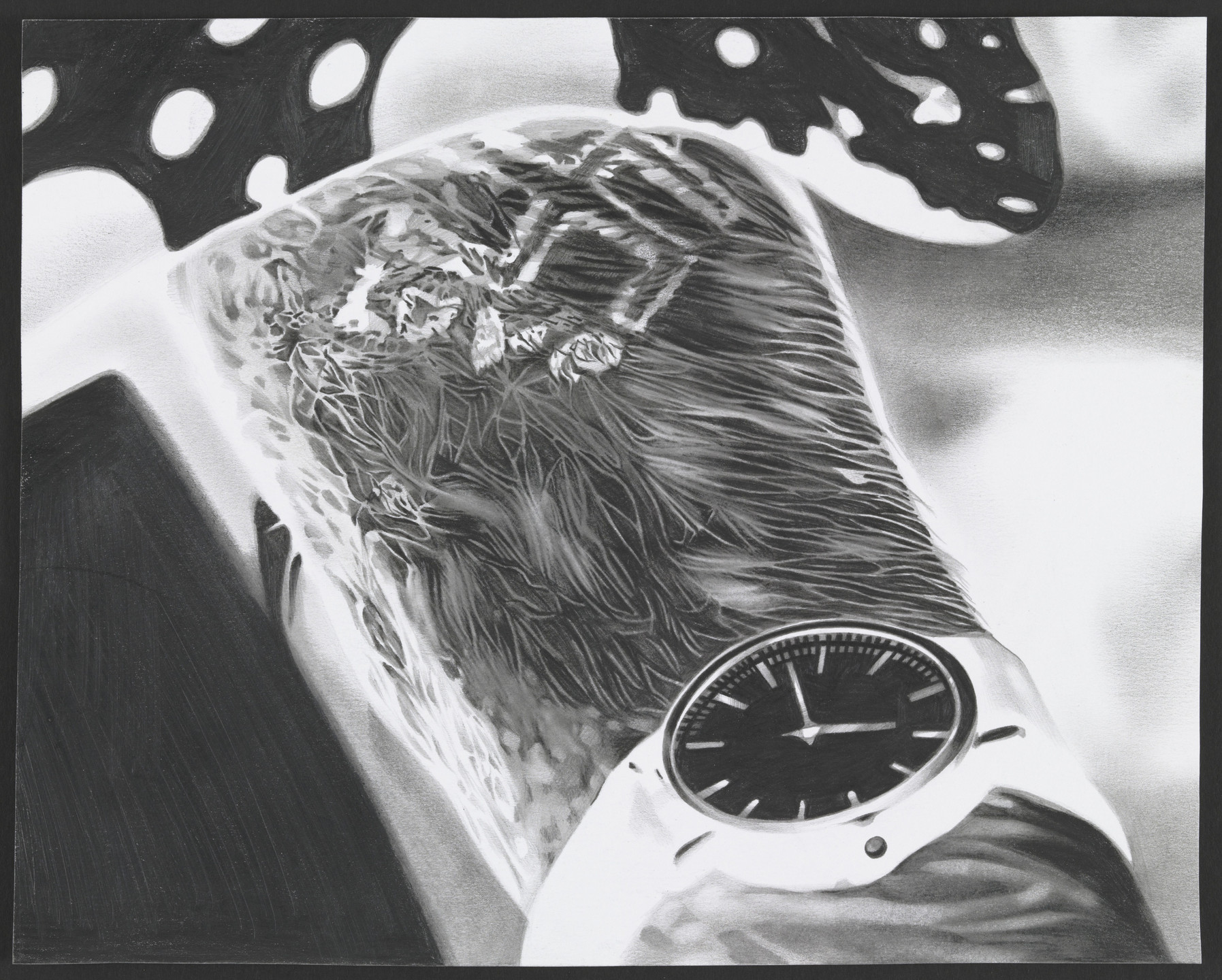 Marc Brandenburg. Untitled. 2001