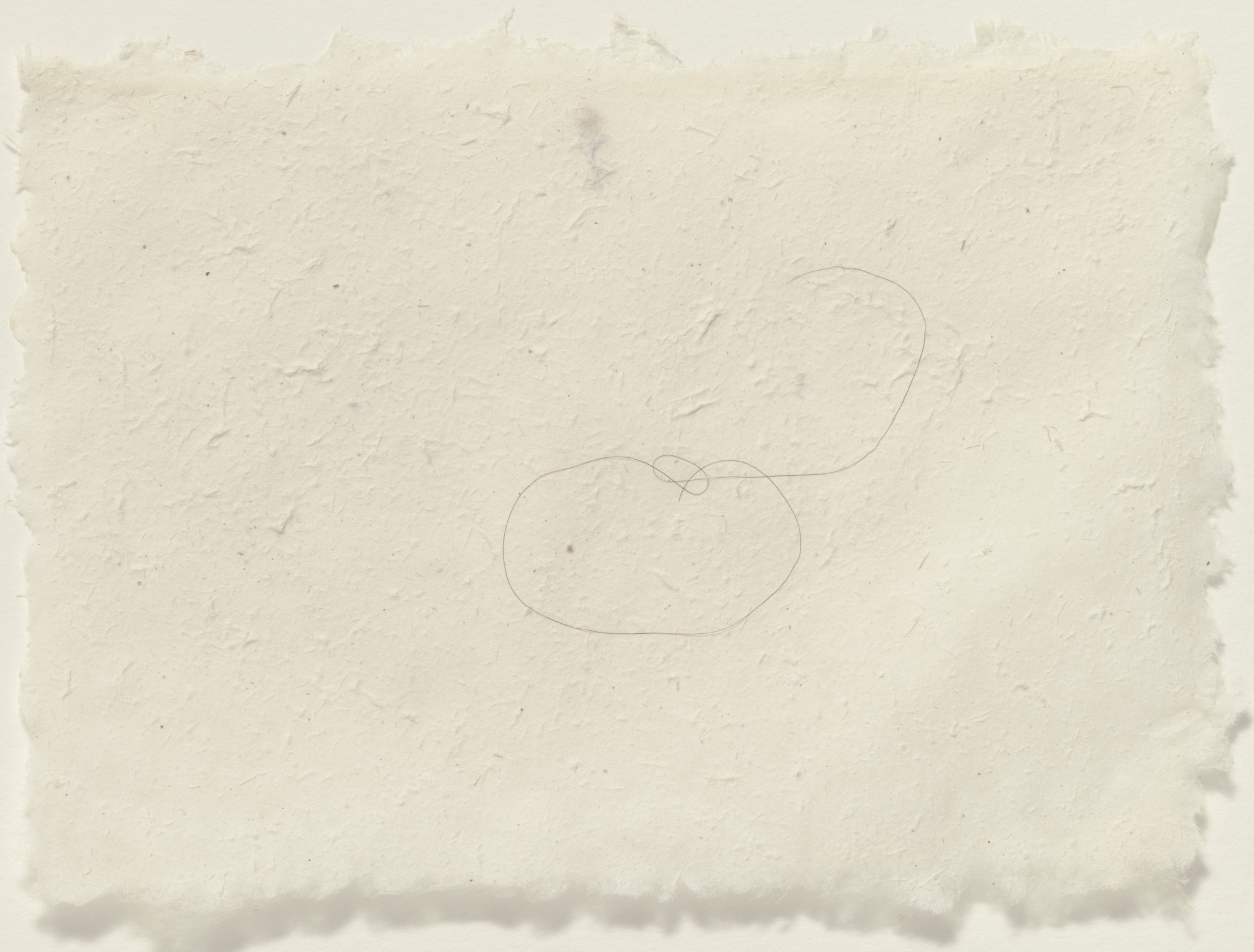 Mona Hatoum. Hair Drawing