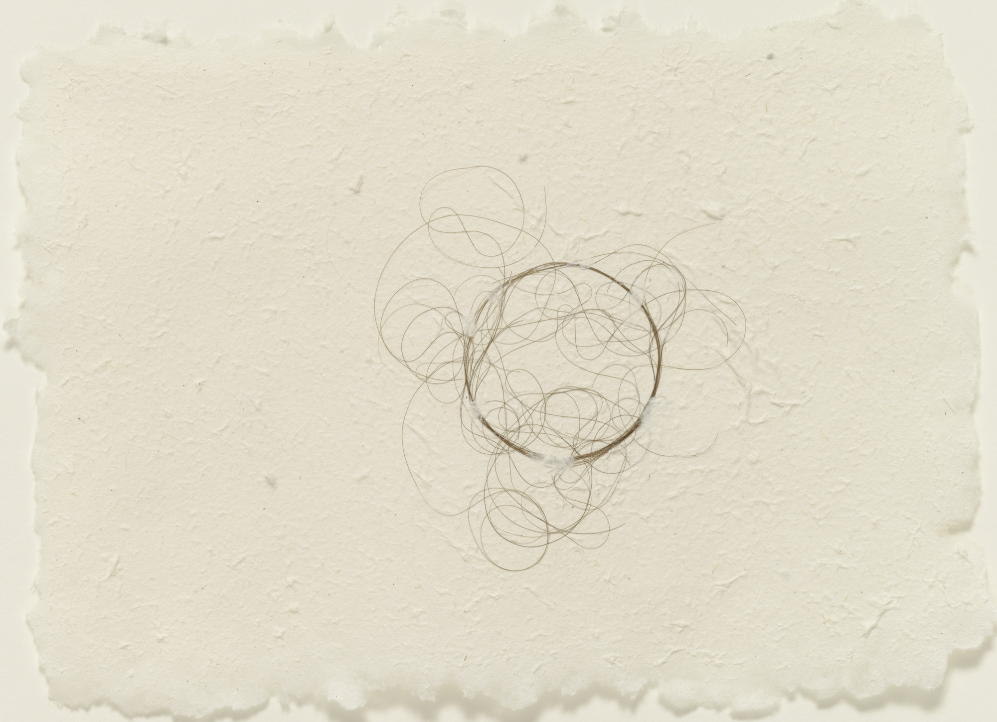 Mona Hatoum. Hair Drawing
