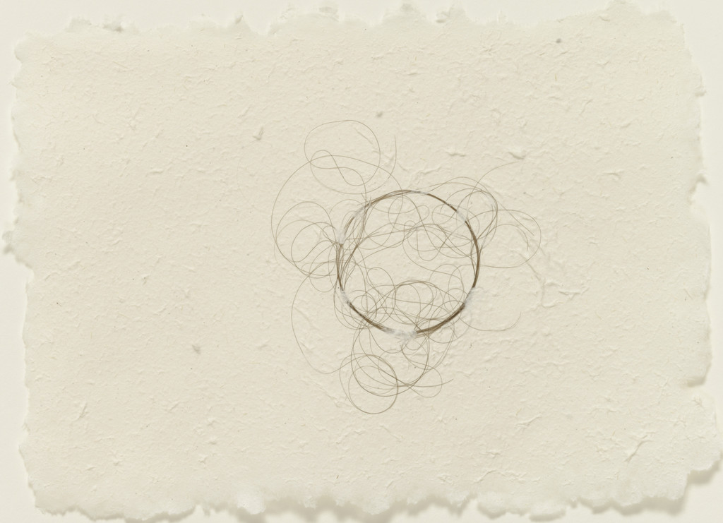 Hair Drawing, Mona Hatoum, (2003)