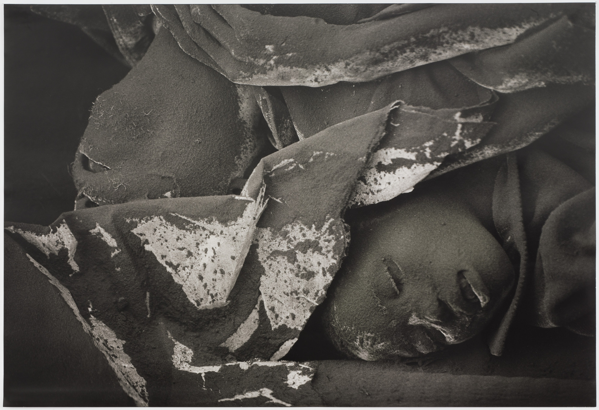 Gilles Peress. Untitled