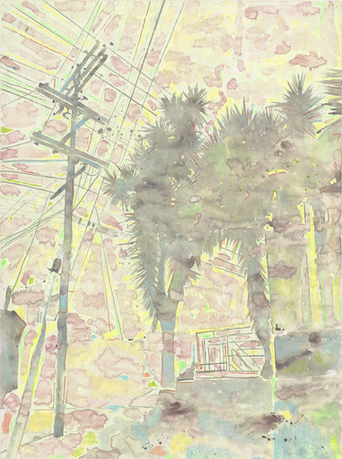 Untitled (Power Line and Palm Trees)