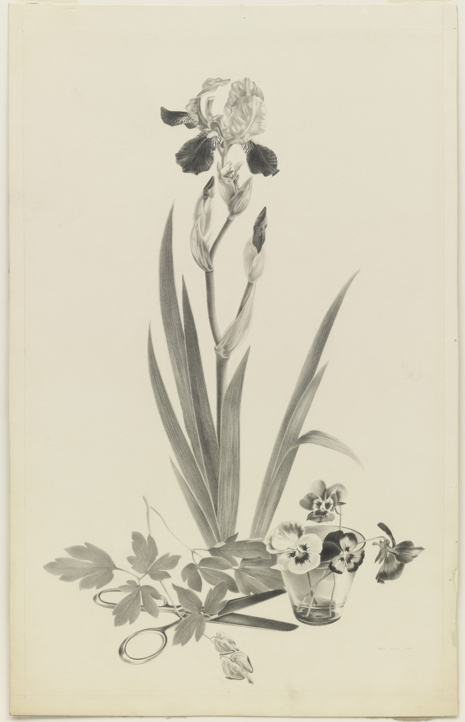 Peter Blume. Iris and Pansies. 1934