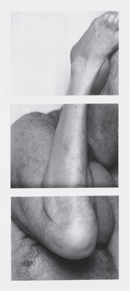 Untitled Study for Self Portrait (Upside Down no. 9)