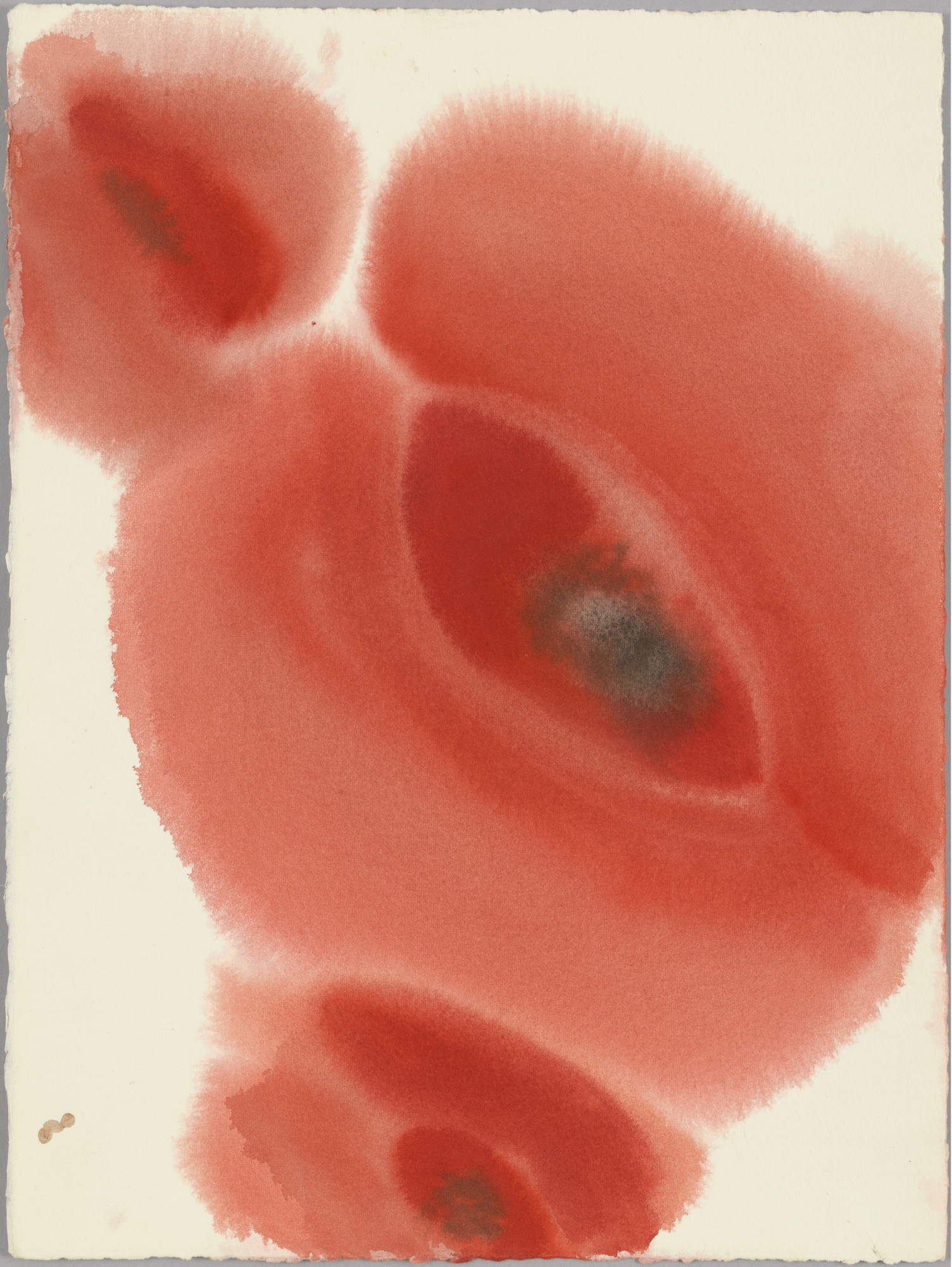 Ann Craven. A Poppie