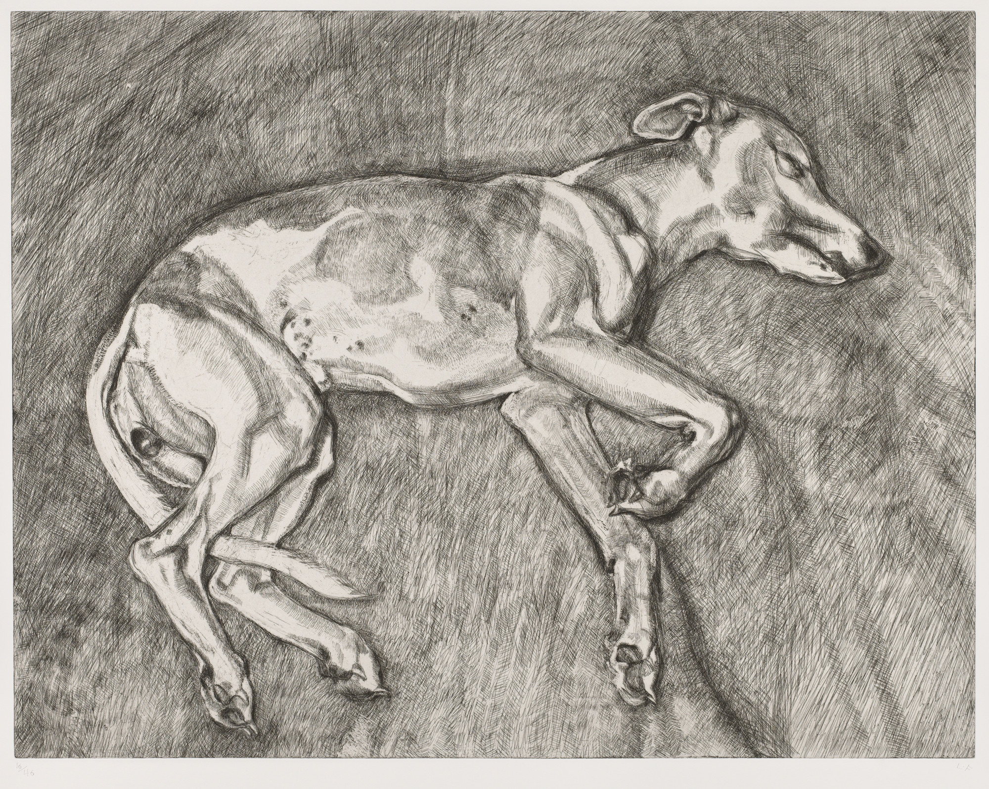 Lucian Freud. Eli