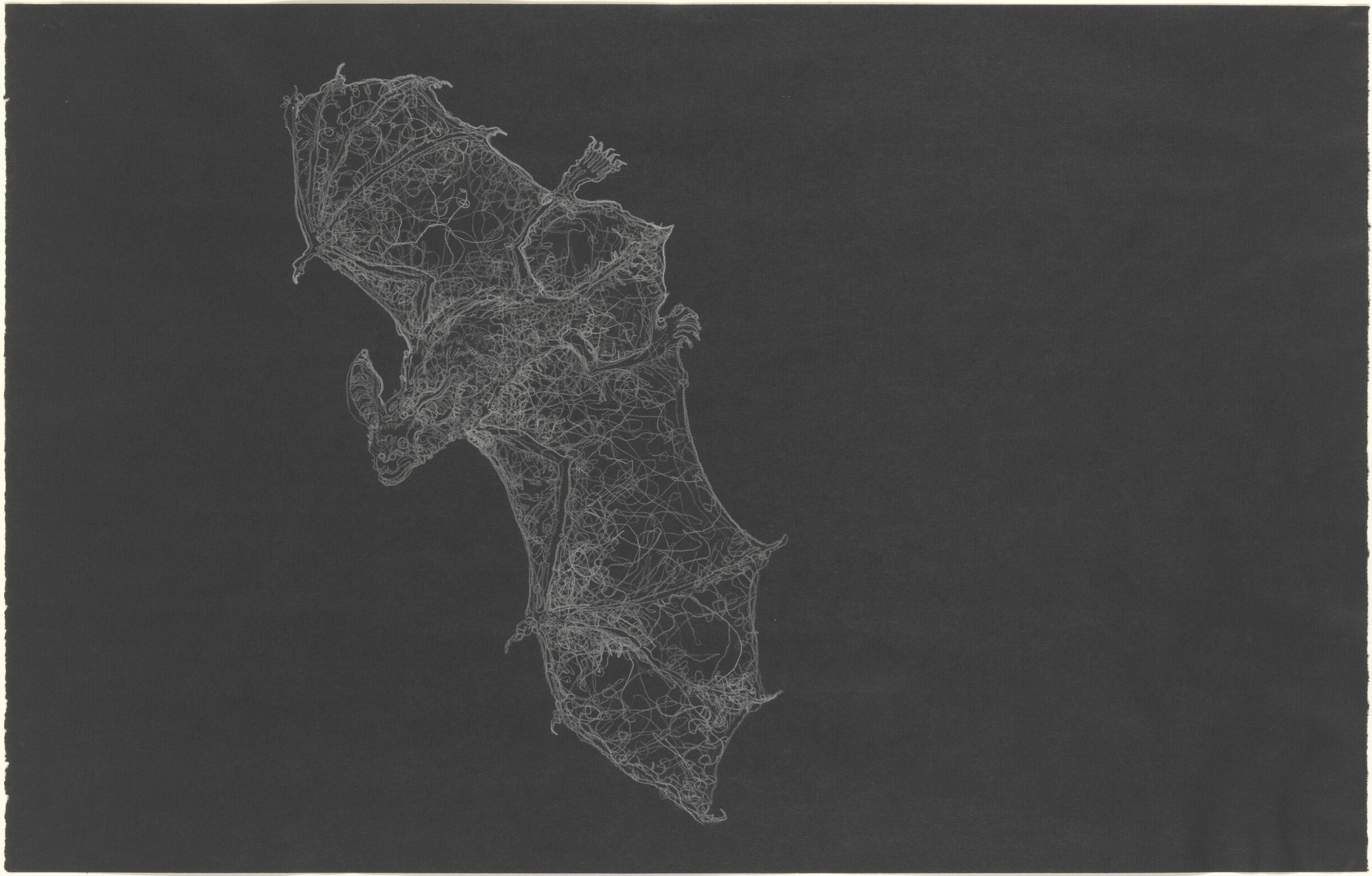 Mel Chin. The Wayward Flight of an Auspicious Sign. 2003
