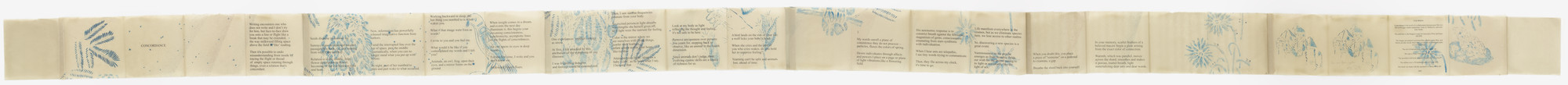 Kiki Smith. Concordance. 2005 (dated 2006)