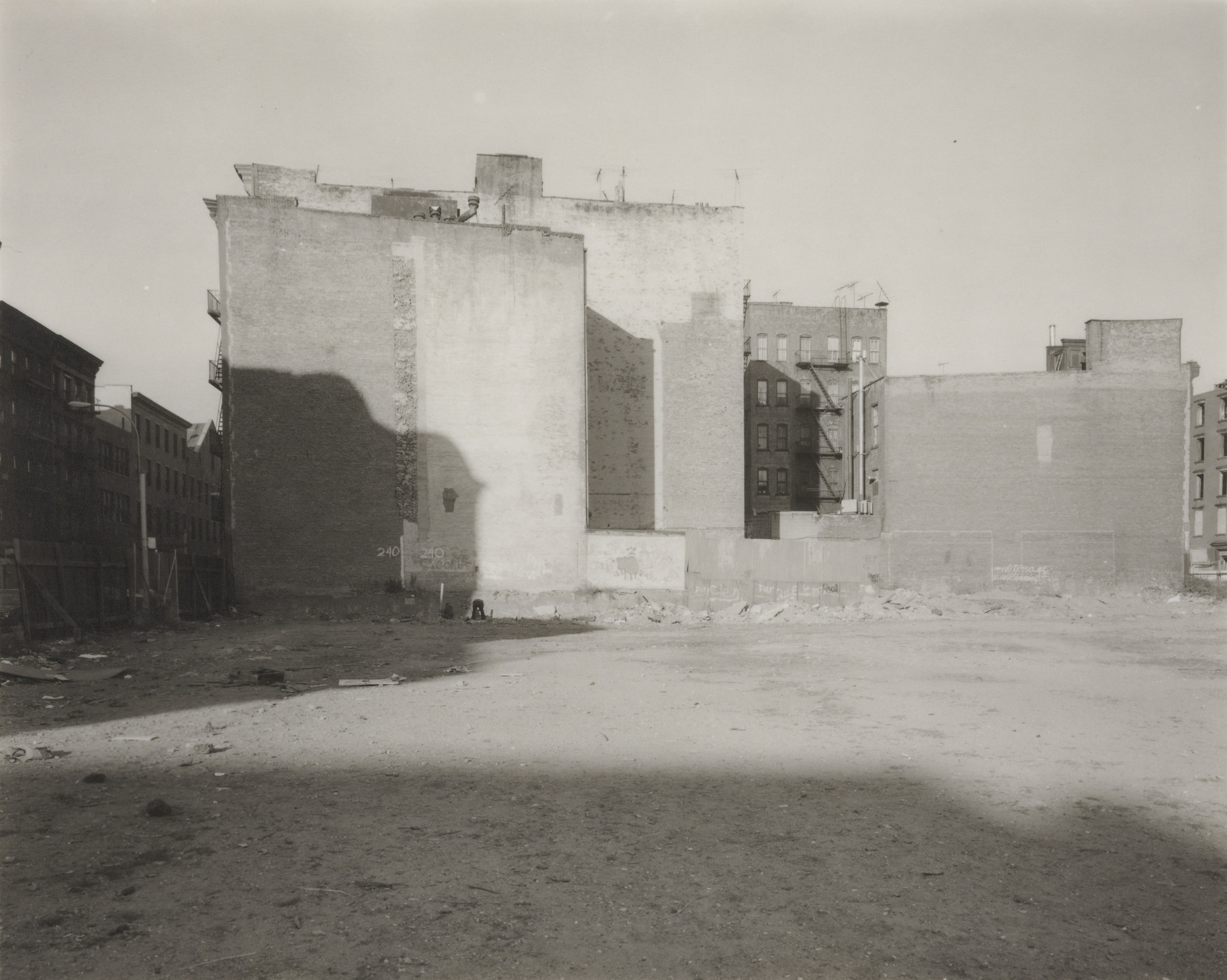 Jan Groover. Untitled. 1981