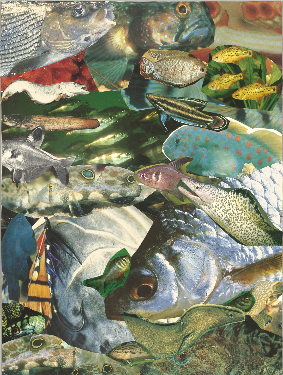 Isa Genzken. Fischcollage (#7). 2001