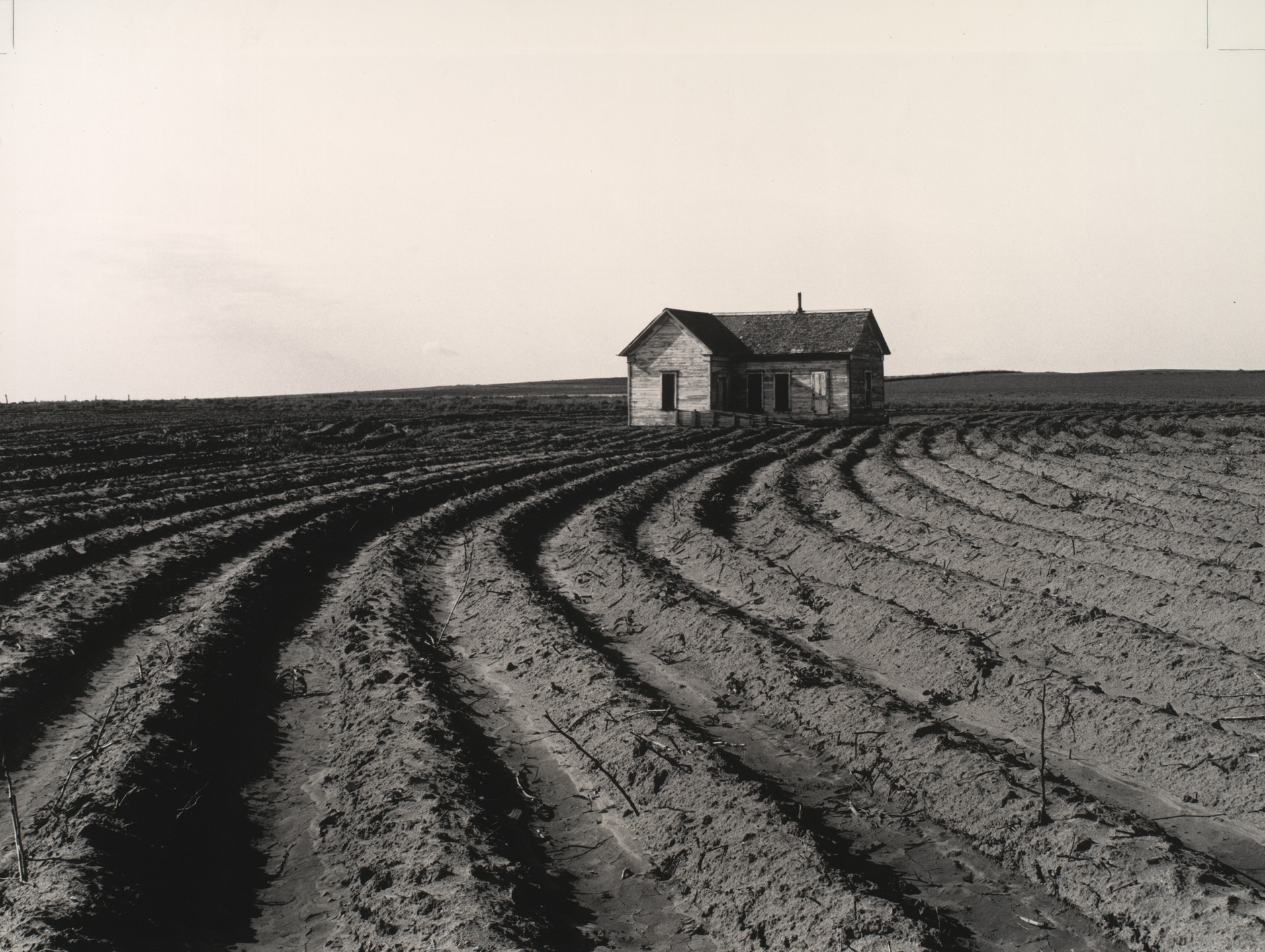 Dorothea Lange. Tractored Out, Childress County, Texas. June 1938