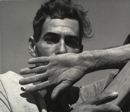 Dorothea Lange. Migratory Cotton Picker, Eloy, Arizona. November 1940