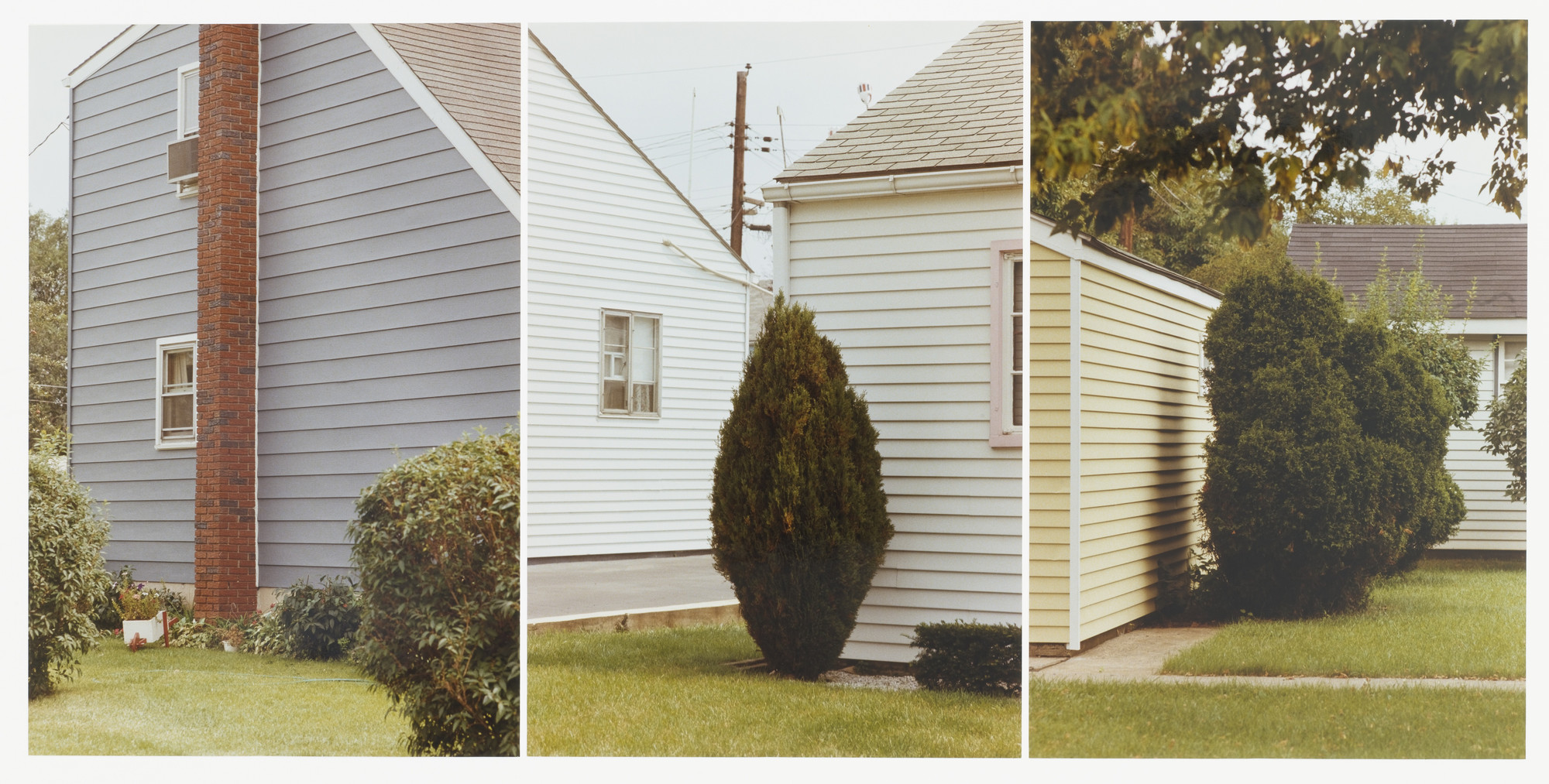 Jan Groover. Untitled. 1977