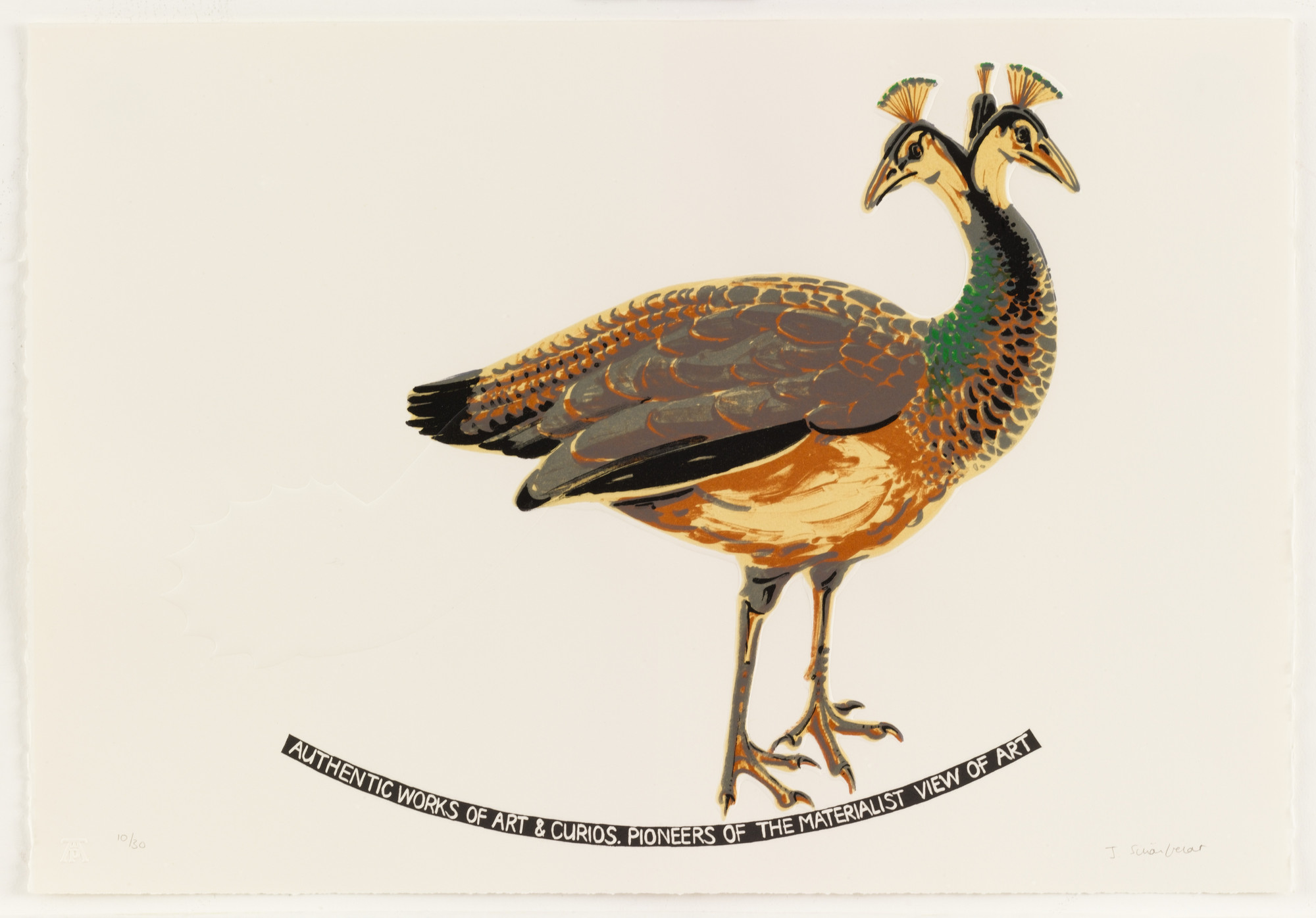 Joachim Schönfeldt. Untitled (Peafowl Hen). 2000