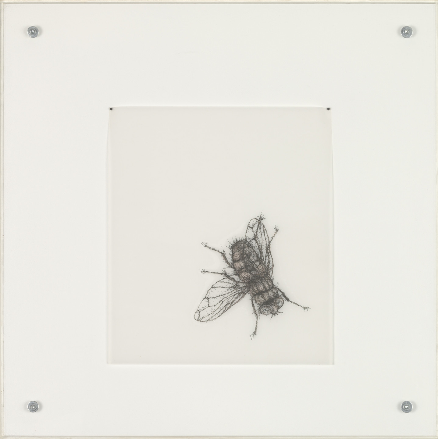Mel Chin. Trapped Flaw. 2003