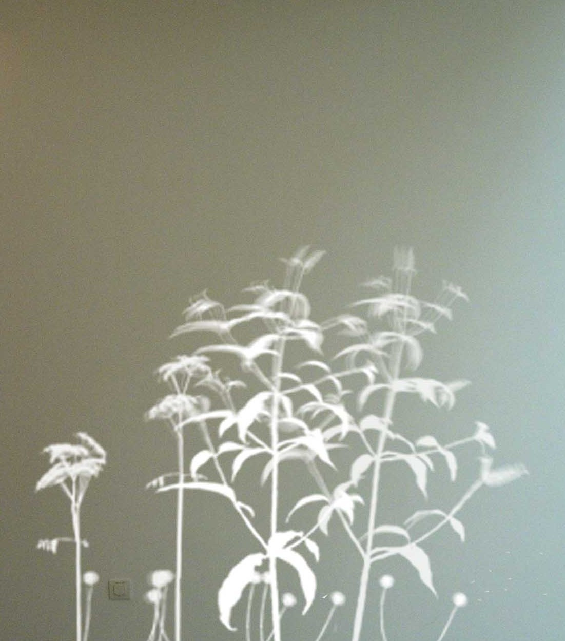 Simon Heijdens. Lightweeds. 2006