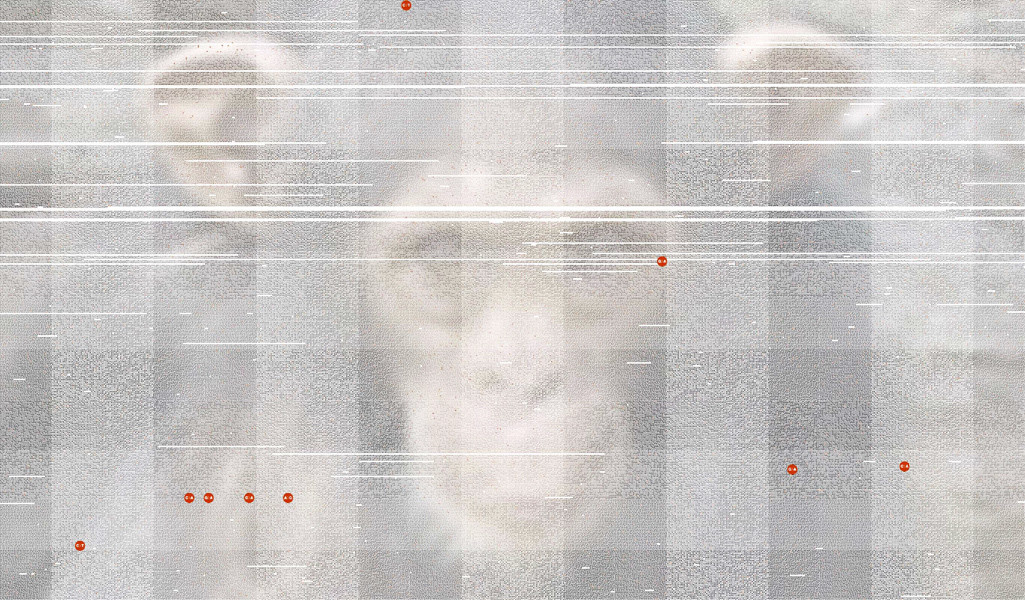 Ben Fry. Humans vs. Chimps. 2005