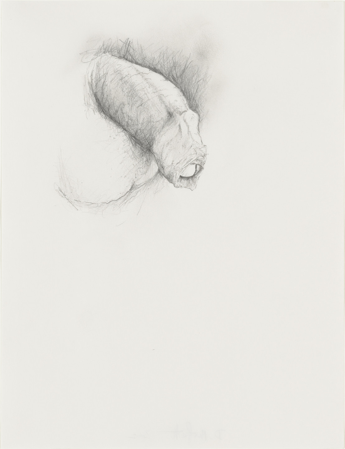 Donald Moffett. Model #2. 2002