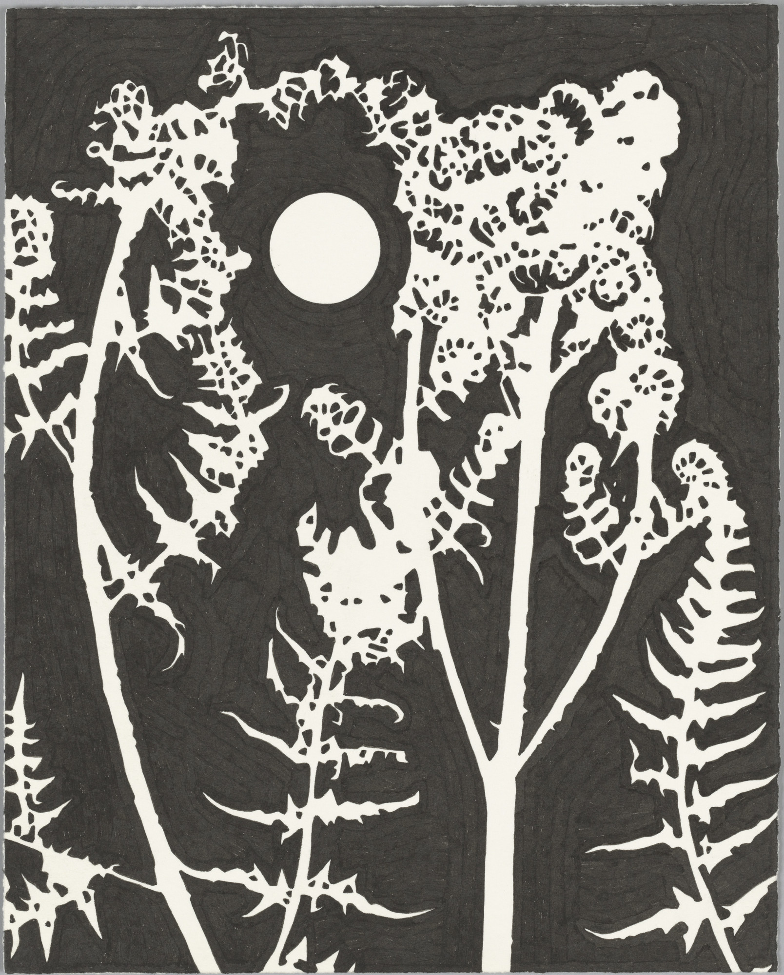 Paul Morrison. Bracken