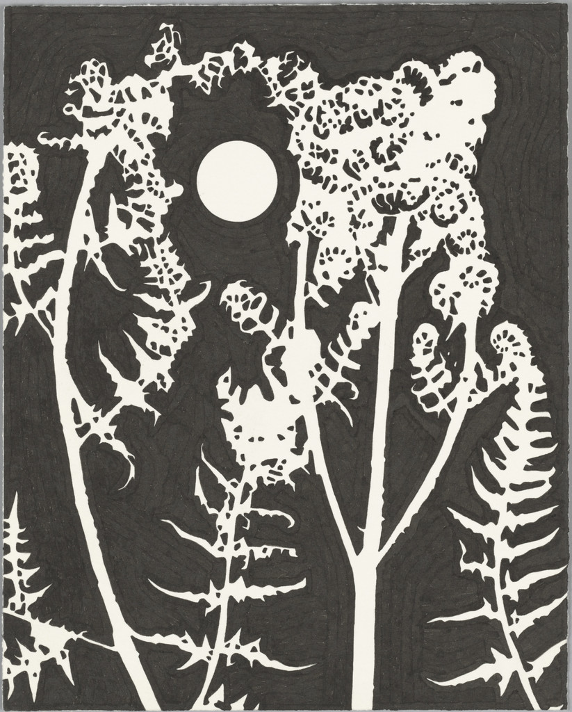 Plants