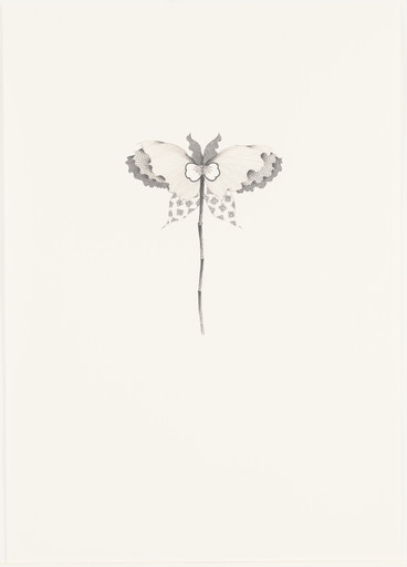 Untitled (Butterfly Flower #27)