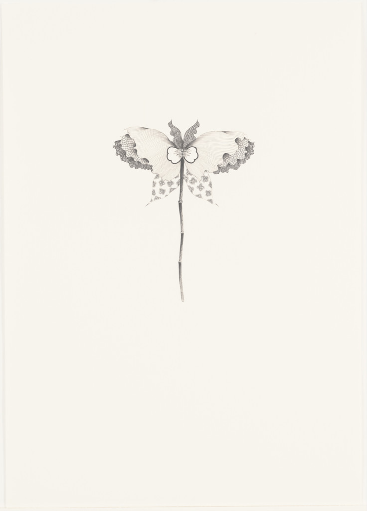 Untitled (Butterfly Flower #27)