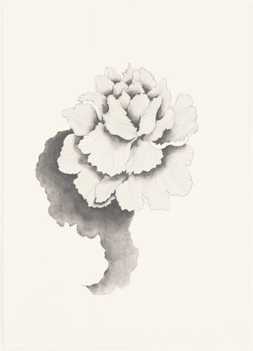 Untitled (Flower #18)