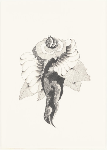 Untitled (Flower #20)