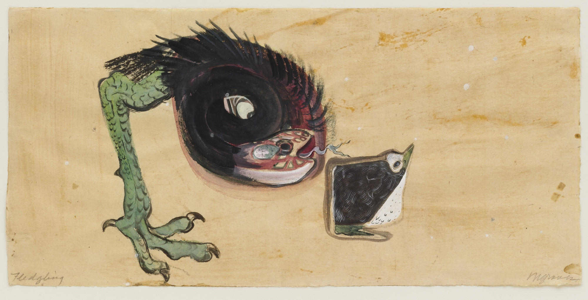 Morris Graves. Fledgling. 1940