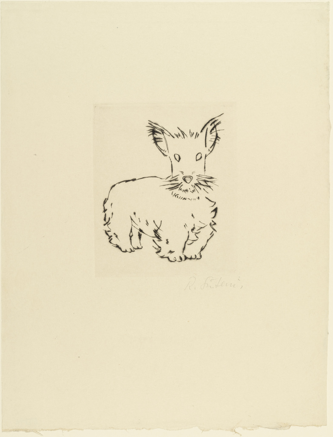 A line drawing depicts a small, fluffy animal with pointy ears and a short tail, standing on a blank background. The image is predominately black and white. This is an AI generated description. To give feedback, email ai@moma.org.