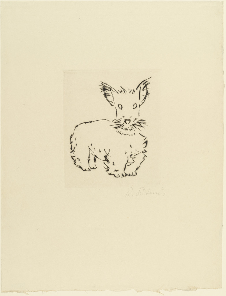 Scotch Terrier (Scotch Terrier)