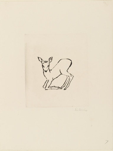 Kneeling Fawn