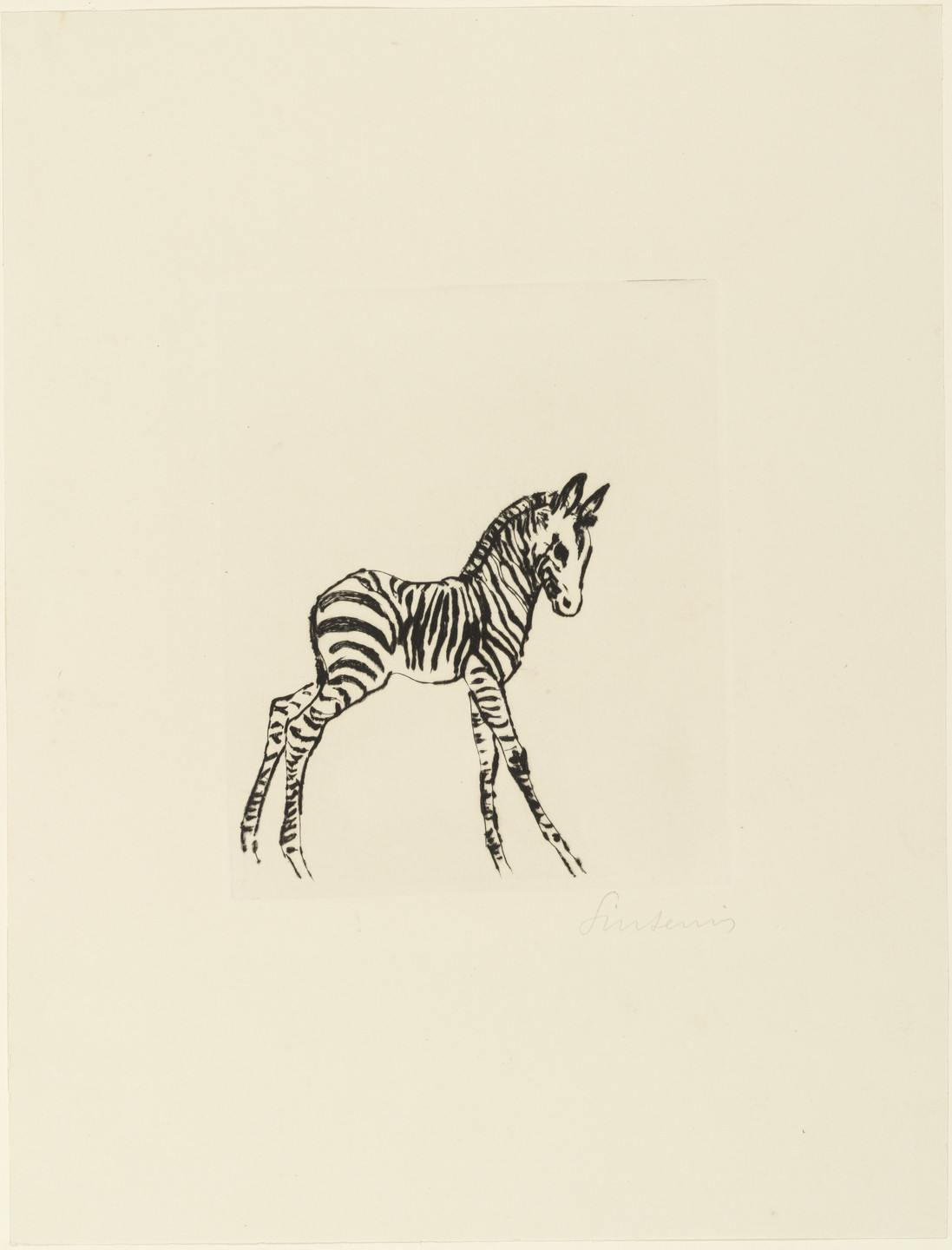 The image shows a black ink drawing of a zebra foal with black stripes on a white background. The zebra is depicted facing left, standing upright with its head slightly tilted down. This is an AI generated description. To give feedback, email ai@moma.org.
