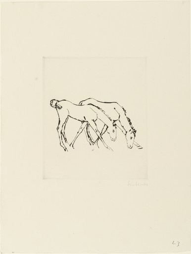 Two Colts Grazing