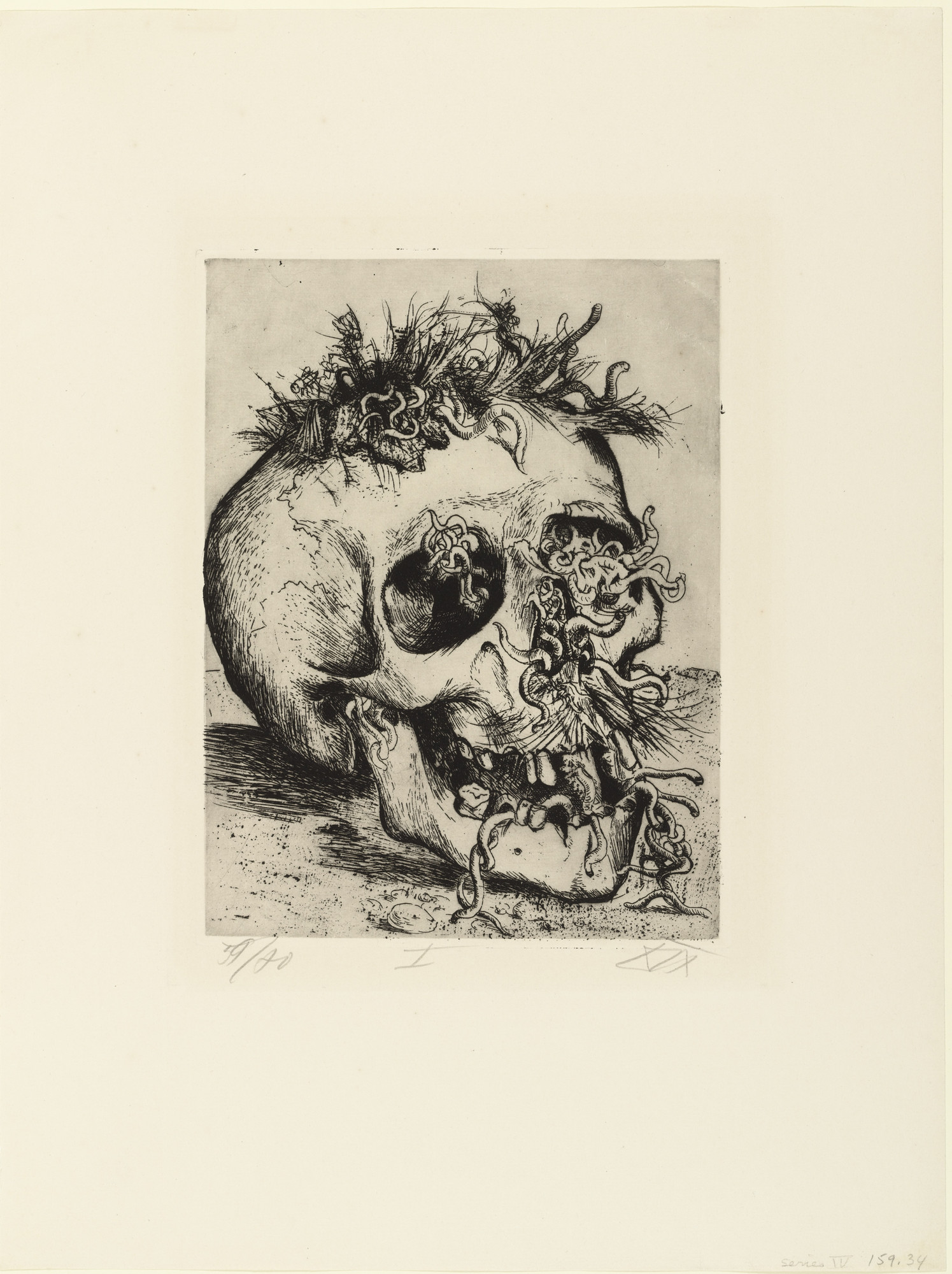 Otto Dix Skull Schadel From The War Der Krieg 1924 Moma
