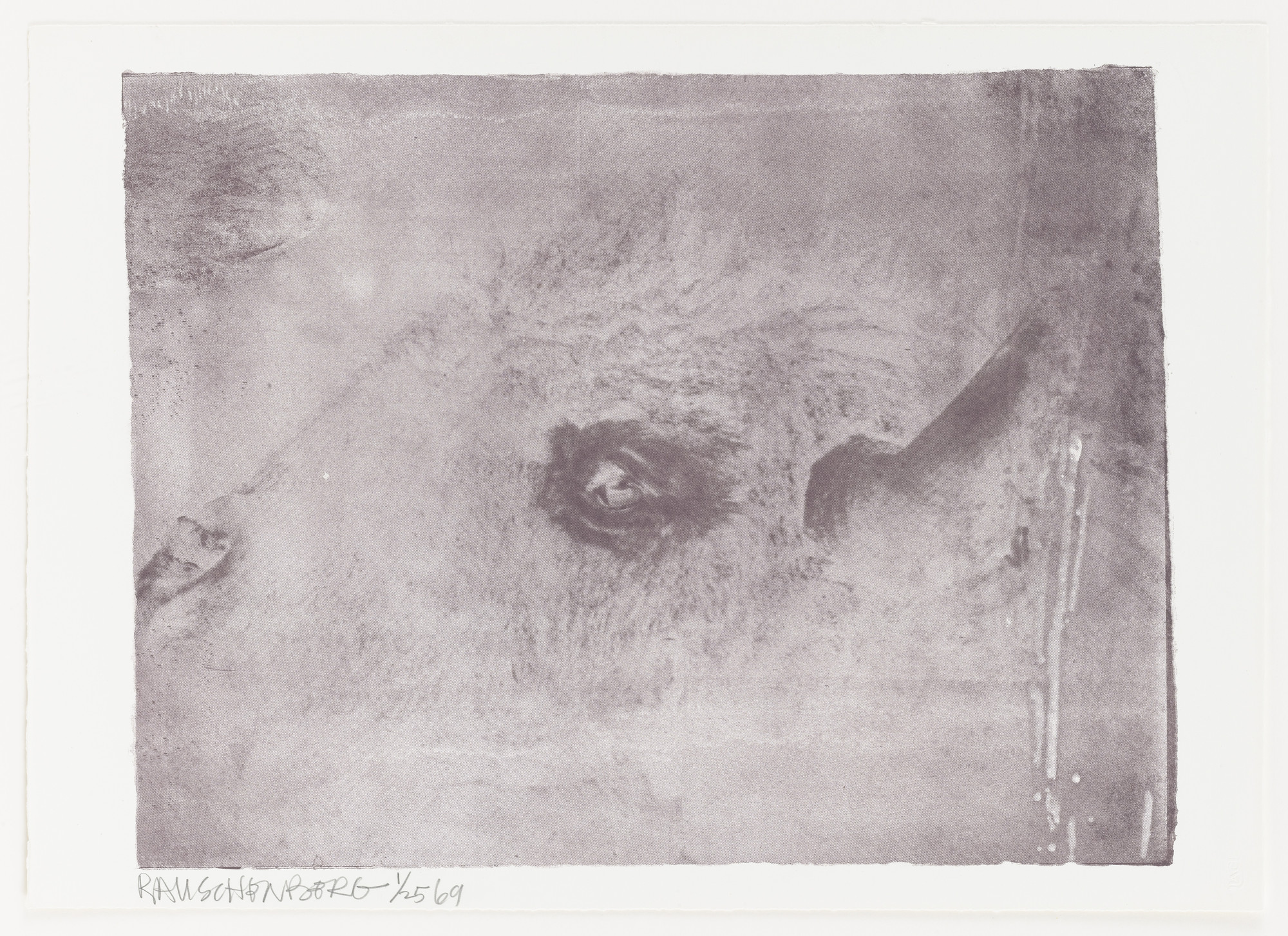 Robert Rauschenberg. Unit (Buffalo)